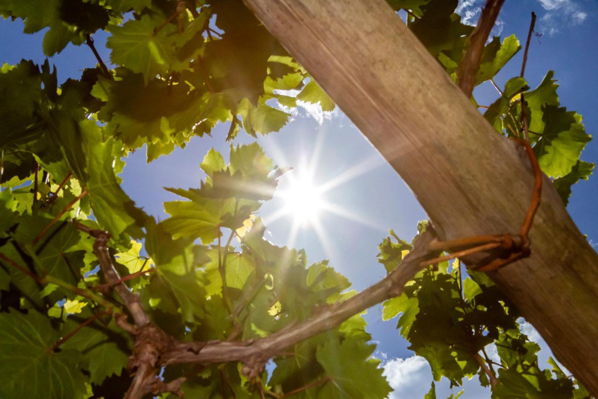 Tenuta La Picola Furore Zewnętrze zdjęcie